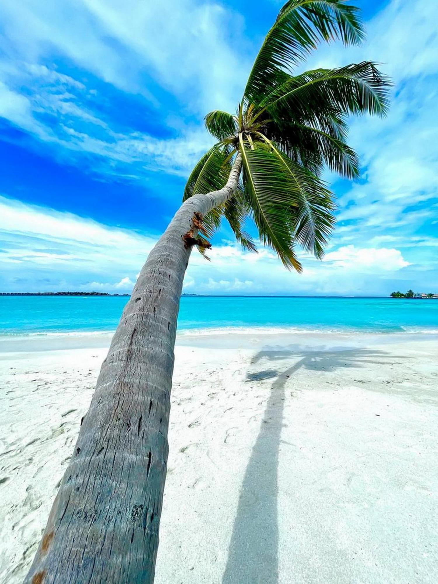 Wind Breeze Sunset View Inn Guraidhoo  Exteriör bild